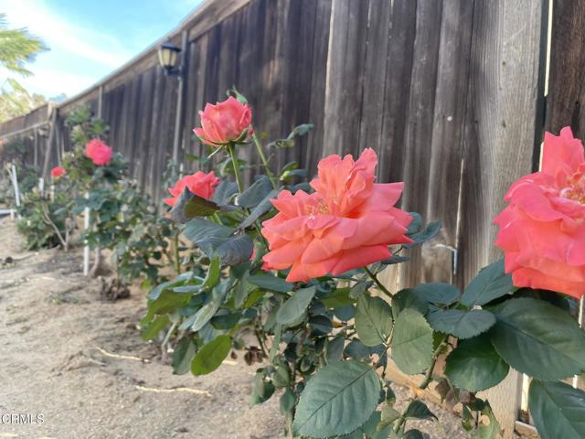 Detail Gallery Image 36 of 37 For 22253 Summer Holly Ave, Moreno Valley,  CA 92553 - 4 Beds | 4 Baths