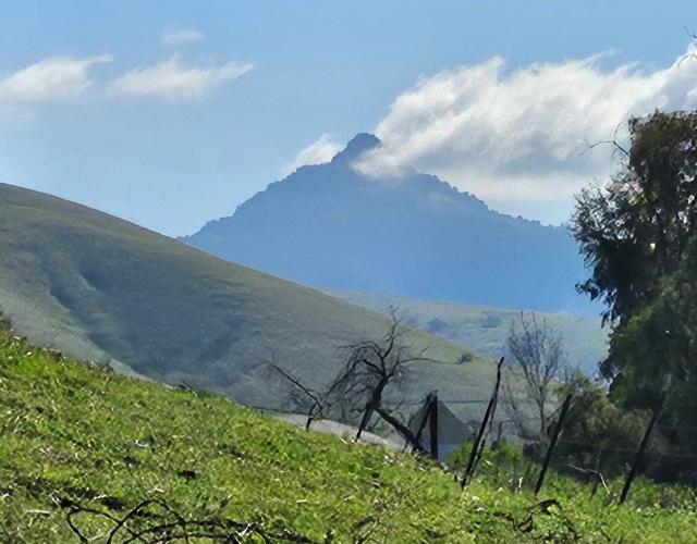 820 Comstock Road, Hollister CA: https://media.crmls.org/mediaz/0170d50b-f379-4b5b-a369-8414dbff9115.jpg