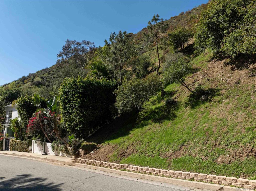 MLS #250021154SD image #5