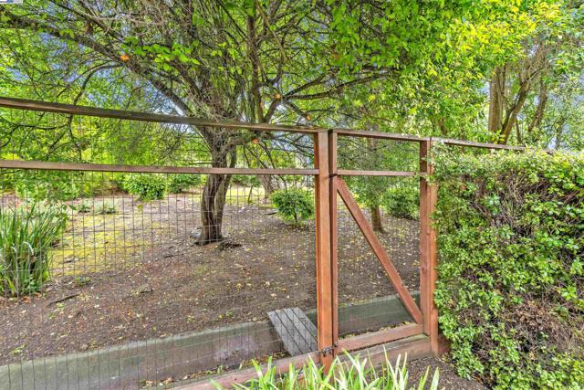 1632 Saint Norbert Dr, Danville CA: https://media.crmls.org/mediaz/0175b9e1-132e-4cd4-8e0f-8ac699075e16.jpg