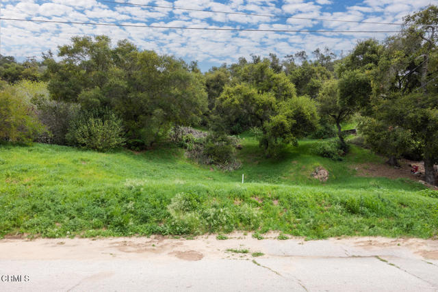 Front Image Thumbnail for CRV1-29221