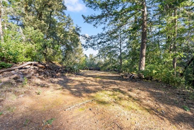 0 Allen, Woodside CA: https://media.crmls.org/mediaz/018ba4a9-2555-402b-bedf-44992cea6165.jpg