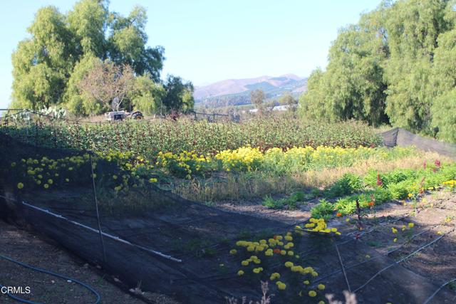 Detail Gallery Image 12 of 32 For 1672 E Los Angeles Ave, Somis,  CA 93066 - – Beds | – Baths