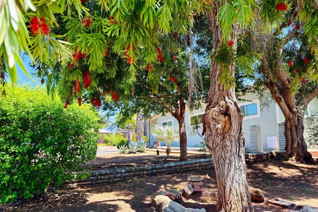 1461 Sunrise Drive, Vista CA: https://media.crmls.org/mediaz/019a690b-b3ee-487f-b1a6-ea6e0e4c786c.jpg