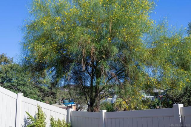 1525 Manzanita Hollows, Vista CA: https://media.crmls.org/mediaz/01a4aa67-dc1b-45d3-a070-2868ef5af6bd.jpg