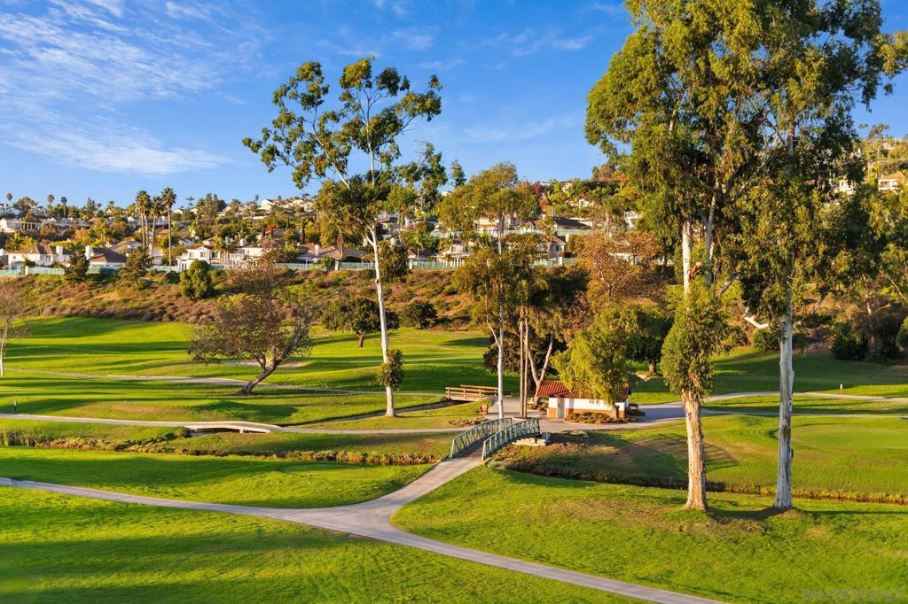 MLS #250045018SD image #35