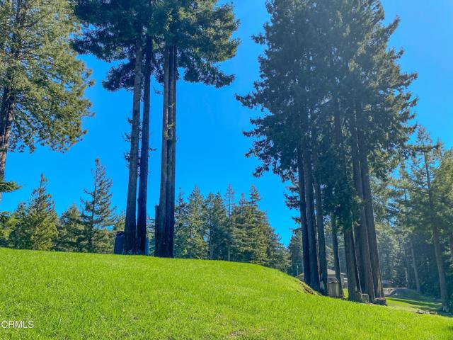 15137 Mitchell Creek Drive, Fort Bragg CA: https://media.crmls.org/mediaz/01a82f94-e633-4cdf-bf69-589033324907.jpg