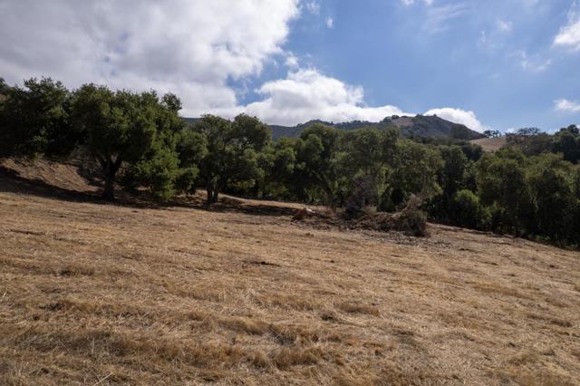 367 San Benancio, Salinas CA: https://media.crmls.org/mediaz/01a982dc-fcf9-4a2f-a81a-6afe8ae3ca04.jpg