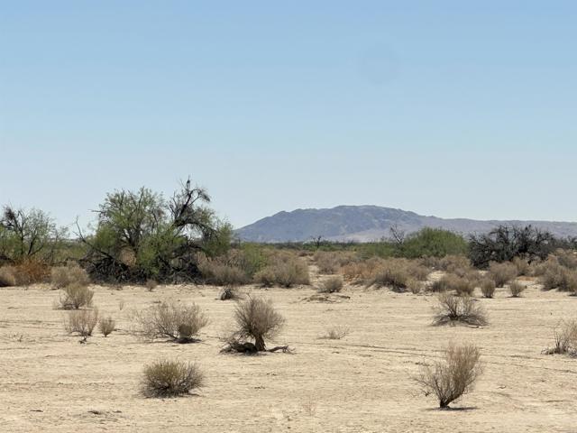 Detail Gallery Image 6 of 6 For 0 Palm Canyon Dr, Borrego Springs,  CA 92004 - – Beds | – Baths