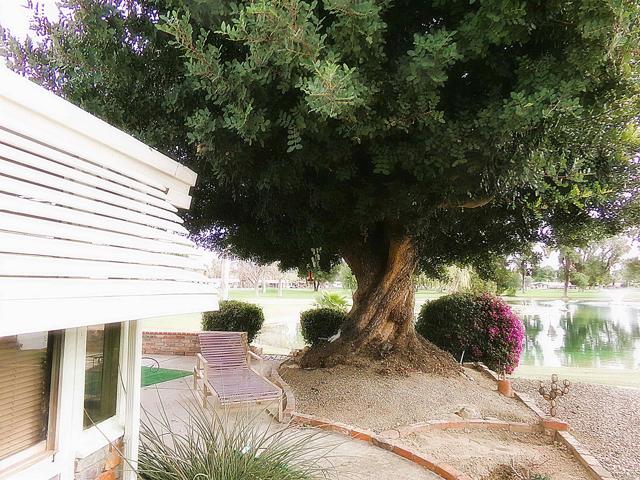 Detail Gallery Image 30 of 35 For 1010 Palm Canyon #283,  Borrego Springs,  CA 92004 - 2 Beds | 2 Baths