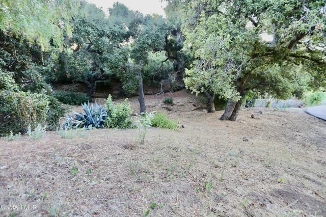 371 Acacia Lane, Newbury Park CA: https://media.crmls.org/mediaz/01da1f84-10ea-4627-ac29-89679a9cbc59.jpg