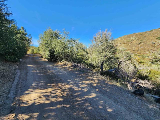 Chateau Drive, Julian, California 92036, ,Land,For Sale,Chateau Drive,CRNDP2308596