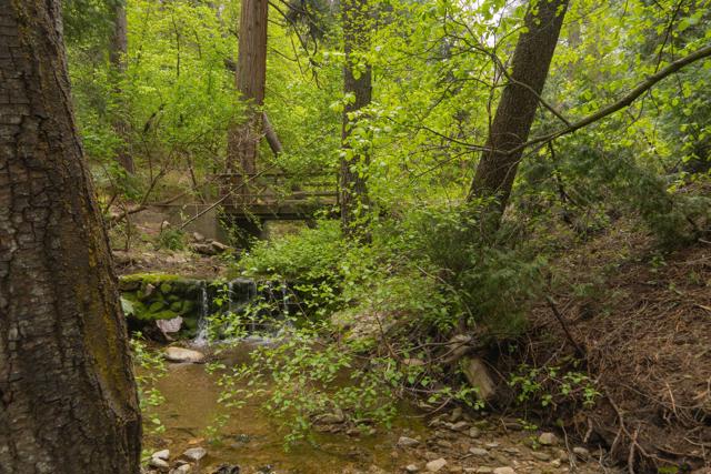 710 Blue Jay Canyon Road, Lake Arrowhead CA: https://media.crmls.org/mediaz/01eb3000-57f3-4d55-bbfb-4b3ecf05ae50.jpg