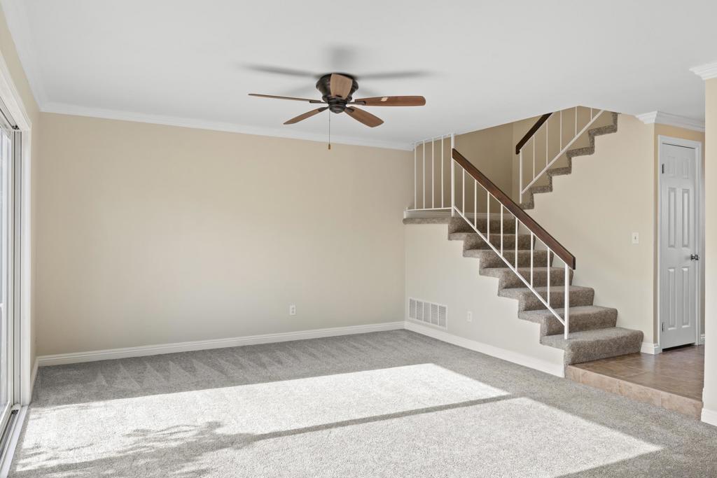 852 Diamond St - photo 17