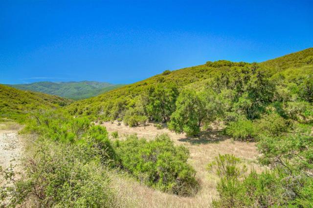 0 Creek Ranch, Carmel Valley Road, Carmel Valley CA: https://media.crmls.org/mediaz/020d2727-73f0-4867-9906-03c3e00d2640.jpg