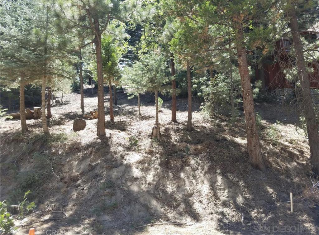 784 Lo Lane, Twin Peaks, CA 92391