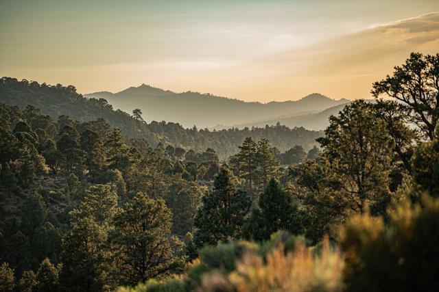 550 Eagle Ridge, Big Bear CA: https://media.crmls.org/mediaz/02110887-639b-4589-8cf4-58334fd88add.jpg