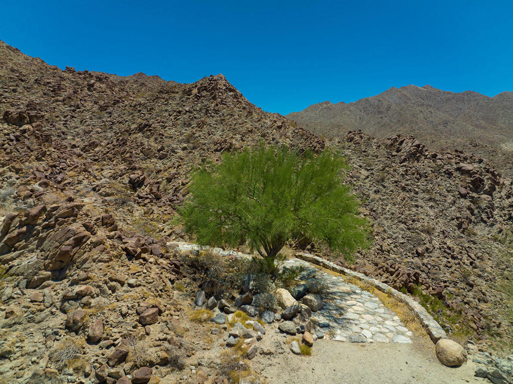 MLS #219138949DA image #2