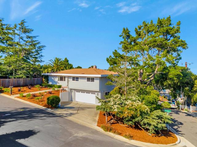 3300 Plateau Drive, Belmont CA: https://media.crmls.org/mediaz/022a5489-59c3-4ad0-82ec-2759b0368b96.jpg