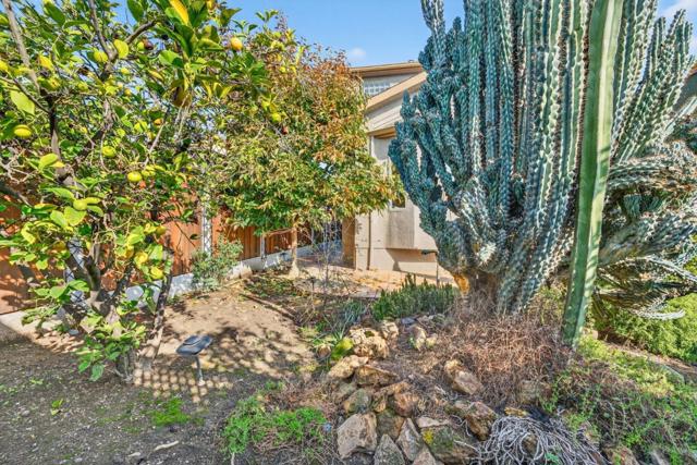 1043 Locust Street, San Jose CA: https://media.crmls.org/mediaz/022e46e4-b88b-4d47-9174-285619c69818.jpg