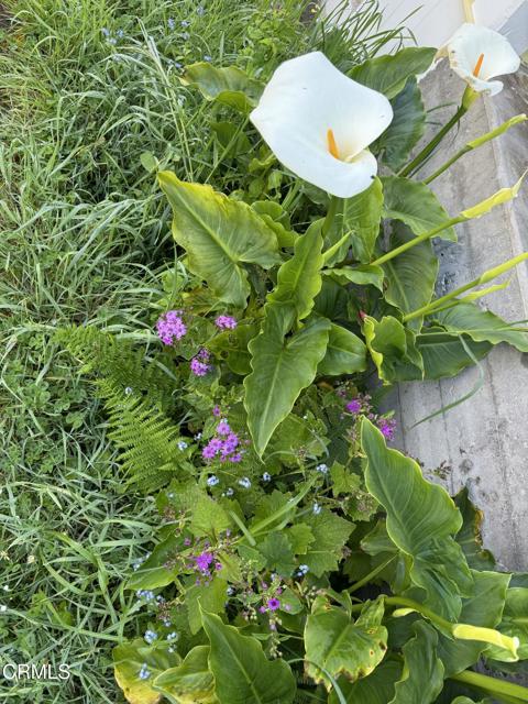 596 S Sanderson Way, Fort Bragg CA: https://media.crmls.org/mediaz/02325d29-88e0-494a-b0d9-28f5c86efca8.jpg