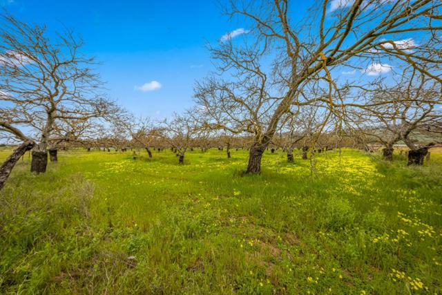 13755 Columbet Avenue, San Martin CA: https://media.crmls.org/mediaz/02372075-88a4-4ed3-a884-0539ea842082.jpg