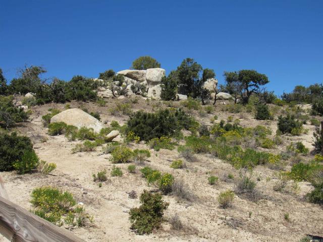 Detail Gallery Image 9 of 47 For 200 Acres Mccain Valley Rd, Boulevard,  CA 91905 - – Beds | – Baths