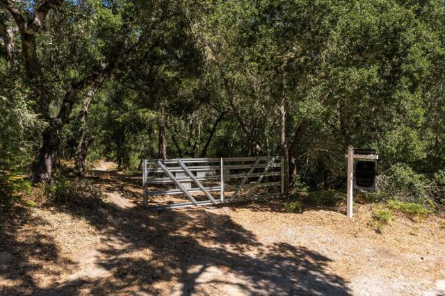 225 Santa Cruz Street, Boulder Creek CA: https://media.crmls.org/mediaz/023c0966-e8ee-40e9-8123-96cf2c9d7ecc.jpg