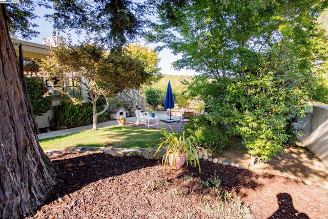 4732 Mira Vista Drive, Castro Valley CA: https://media.crmls.org/mediaz/023dc664-4d07-4fe4-9e35-4373ac6cfc1c.jpg