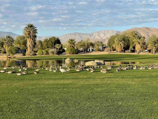 1010 Palm Canyon Dr., Borrego Springs, California 92004, 2 Bedrooms Bedrooms, ,2 BathroomsBathrooms,Residential,For Sale,Palm Canyon Dr.,250000967SD