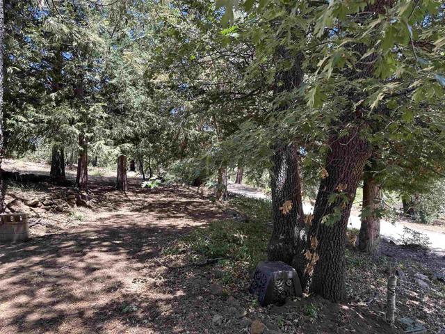 1126 Boiling Springs, Mount Laguna CA: https://media.crmls.org/mediaz/025865d6-5075-4efa-9aef-22aa7febf8f0.jpg