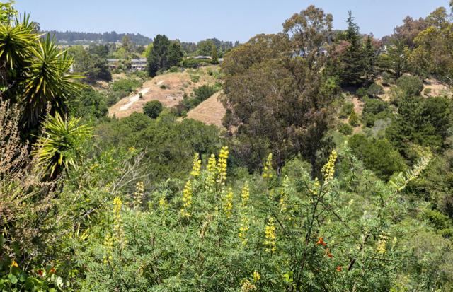 120 Alamo Avenue, Santa Cruz CA: https://media.crmls.org/mediaz/025d303b-7a7d-478b-ac53-fe5582d470ef.jpg