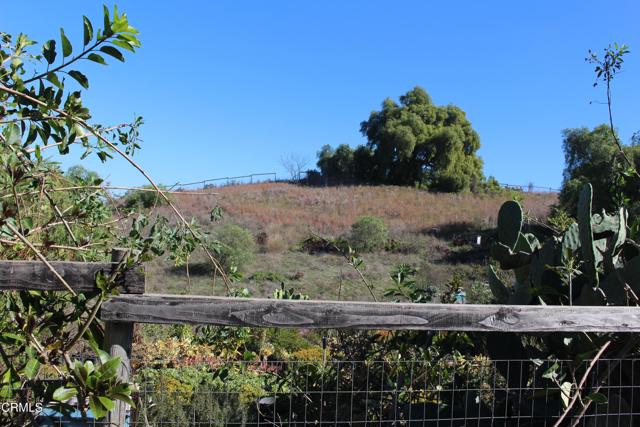 Detail Gallery Image 20 of 32 For 1672 E Los Angeles Ave, Somis,  CA 93066 - – Beds | – Baths