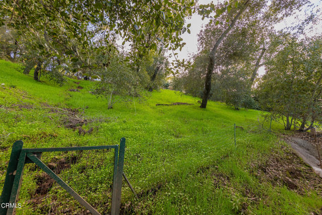 Detail Gallery Image 36 of 42 For 11966 N Ventura Ave, Ojai,  CA 93023 - 3 Beds | 2 Baths