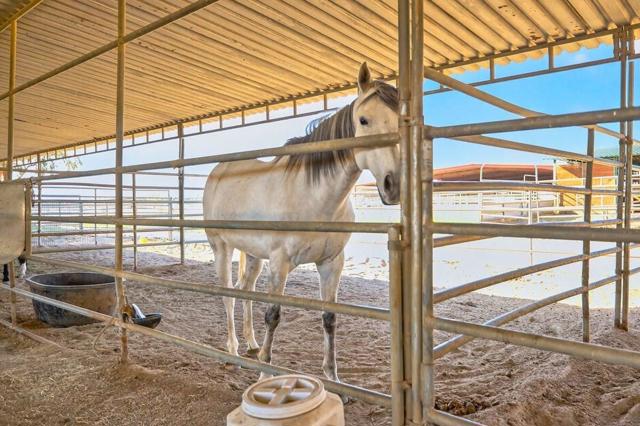 Image 15 of 49 For 20555 Mountain View Road