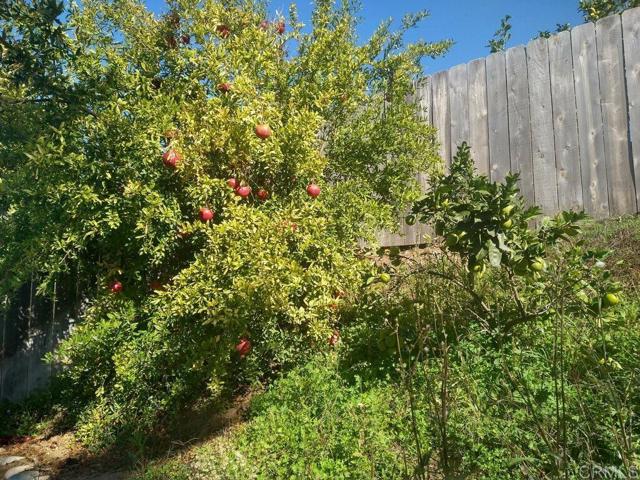 Detail Gallery Image 31 of 34 For 466 via Arboles, San Marcos,  CA 92069 - 3 Beds | 2 Baths