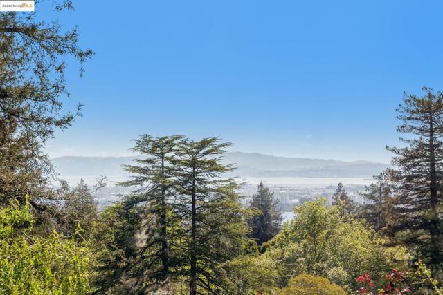 356 Mountain Avenue, Piedmont CA: https://media.crmls.org/mediaz/026f380d-e6dd-45fc-b994-29331bbb83f6.jpg