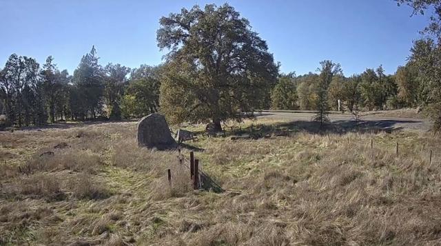 2795 State Highway 49, Mariposa CA: https://media.crmls.org/mediaz/026f6ac6-31d9-4b7b-be68-cada86ac46dc.jpg