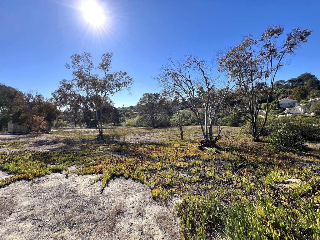 Mays Hollow Lane Encinitas