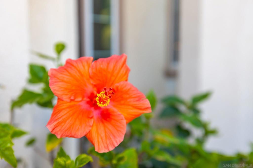 https://media.crmls.org/mediaz/0271588c-4dc0-4ff9-b89f-a308df322247.jpg?preset=X-Large