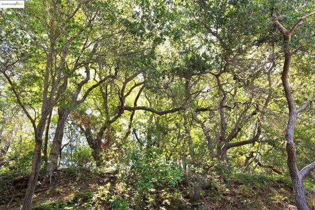 3 Mountain View Pl, Lafayette CA: https://media.crmls.org/mediaz/0274c97d-d4ea-4959-866f-319fe0d15aa1.jpg