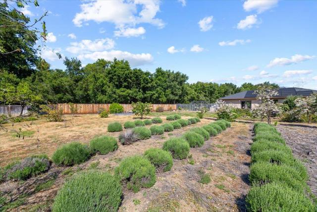 20811 Norada Court, Saratoga CA: https://media.crmls.org/mediaz/0277f6eb-42c6-4260-a2ec-49ae0a940403.jpg