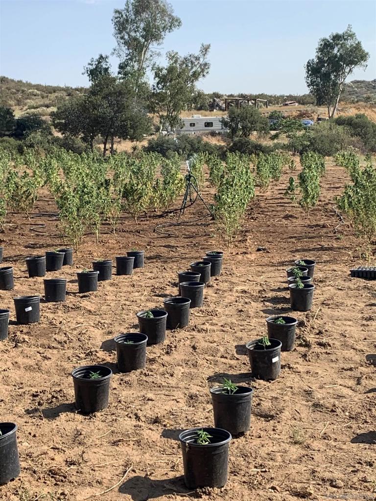 MLS #250034816SD image #39