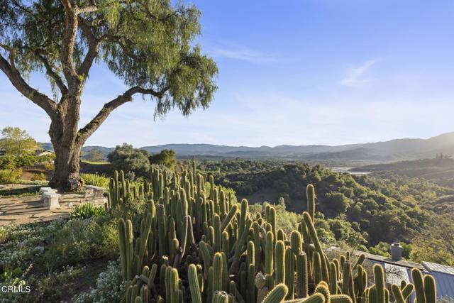 1417 Foothill Road, Ojai CA: https://media.crmls.org/mediaz/0291ec2b-ac53-42ff-adf1-66501bca0b56.jpg