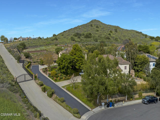331 Briar Bluff Circle, Thousand Oaks CA: https://media.crmls.org/mediaz/0293393e-7ced-4122-9a54-f88c527cf4ef.jpg