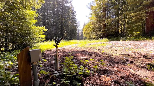 3675 Bonny Doon Road, Santa Cruz CA: https://media.crmls.org/mediaz/02a53d75-0f4e-4a0f-981a-d0b020c92d0f.jpg