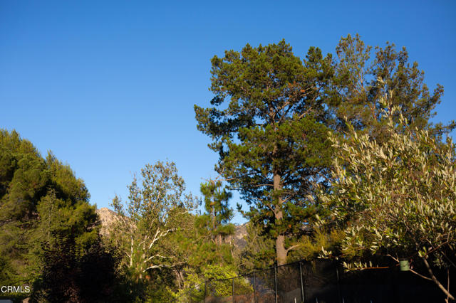 Drew Fenton | 548 Live Oak Circle Drive Calabasas CA | MLS: 7311112