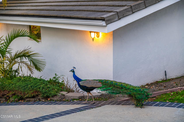 27024 Sunnyridge Rd Palos Verdes Peninsu