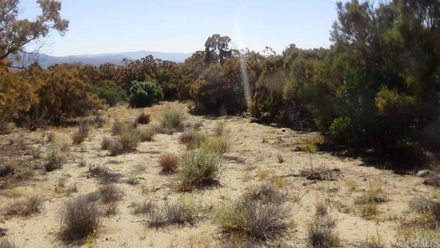 Detail Gallery Image 8 of 41 For 37245 Old Forest Rd, Anza,  CA 92539 - – Beds | – Baths