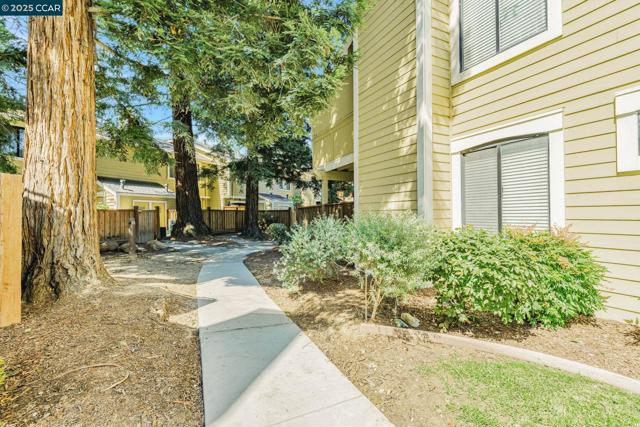 771 Center Ave, Martinez CA: https://media.crmls.org/mediaz/02b6ed26-7a65-416b-9d3b-f23ef36b9d0c.jpg